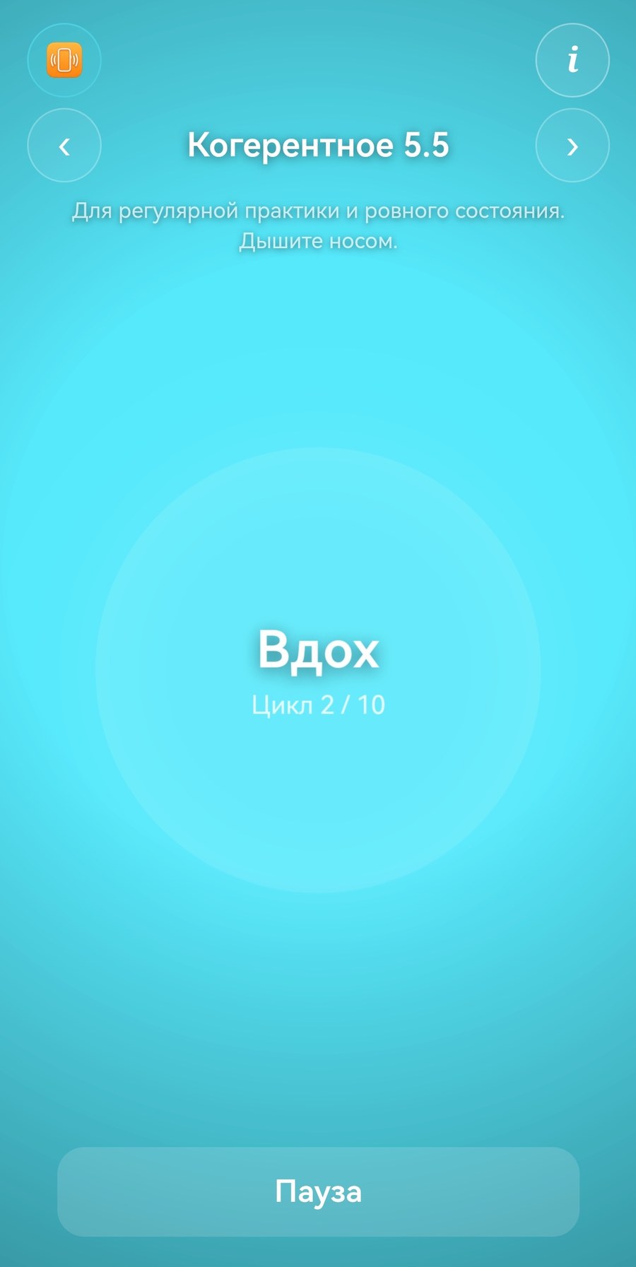 Скриншот техники Когерентное 5.5